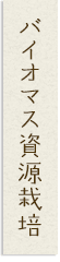 バイオマス資源栽培